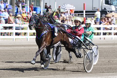 Irondangerin ura käsittää nyt seitsemän starttia, joista neljä on päättynyt voittoon. 