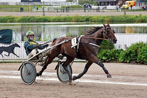 5-vuotias Xanthus Wapid esitteli hurjaa kiritahtiaan, ohjissa myös Jokimaalla vakiokuski Hannu Torvinen.