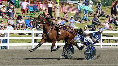 Magical Princess oli kaksi viikkoa sitten ravatussa Suur-Hollola-ajossa hyvä kakkonen.