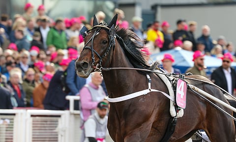Hail Mary on Åby Stora Prisin suosikki.
