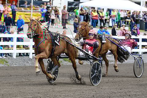 Säihkeen Sähinä ja Santtu Raitala.