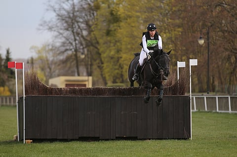 Suomessa kasvatettu ruuna Pin Rock's Fade To Black keväällä Puolassa.