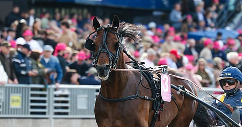 Click Bait starttaa suosikkina Mantorpissa.  