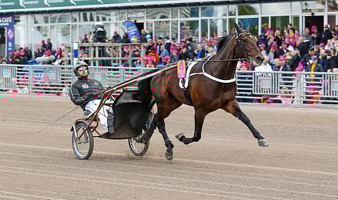 Hail Mary starttaa ykkösradalta Åbyssä.