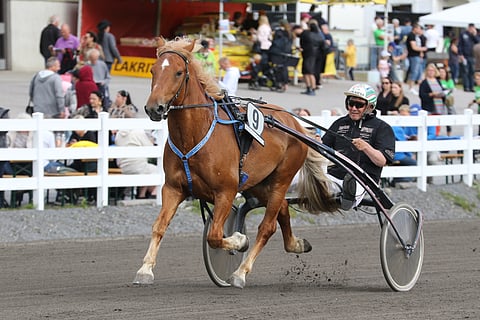 Enon Vilppi ja Markku Hietanen.