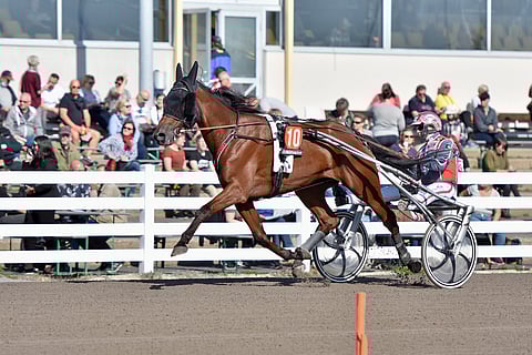 Boulder Predator jatkaa huippukunnossa.