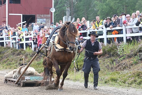 Etutopeva tulossa maaliin.