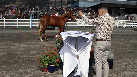 Hevoshuutokaupan meklarina toimi Lauri Hyvönen.