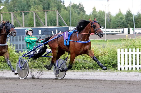 Robertino US ja kolmen voiton Jukka Torvinen hallitsivat loppusuoraa.