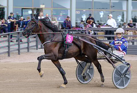 Stonecapes Thor on peliprosenttejaan todennäköisempi menestyjä.