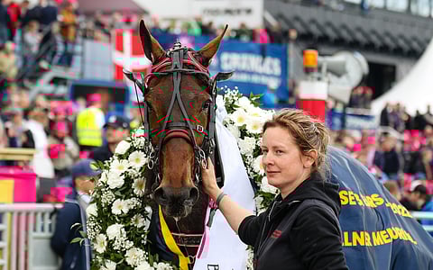 Ahvenanmaalaispelaajan luotto Mister F. Daagiin palkittiin.