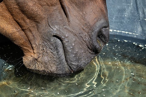 Juottaminen on tärkää talvellakin.