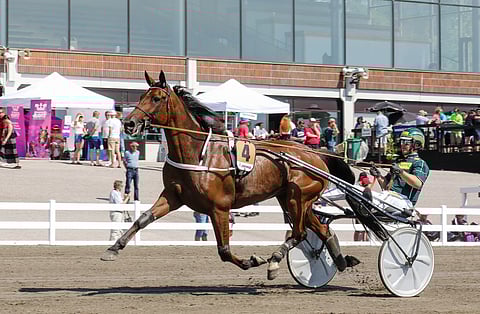 Heinäkuussa Stonecapes Queila starttasi Suur-Hollolan välierässä, mutta ei edennyt finaaliin. Ohjissa vakiokuski Hannu Torvinen.