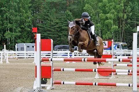 Ponikokoinen Äänenkantaja ponnistaa napakasti.