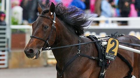 Axevallan lauantainen T75-kierros päättyi Milligan's Schoolin voittoon.