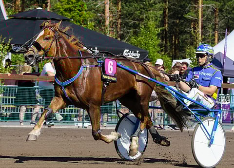 Lily ja Mikko Huttunen.