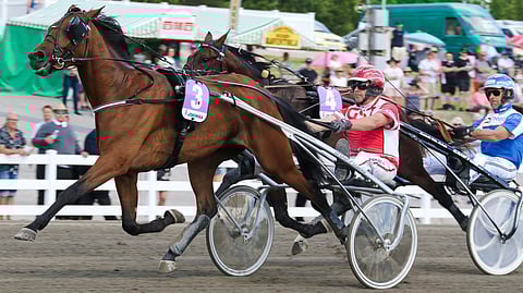 Shackhills Twister yrittää keulaan.