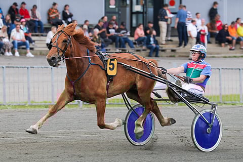 M.A. Piste ja Kari Rosimo.