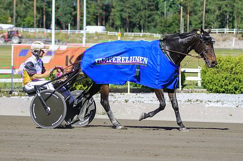 Amazing Warrior oli usein ensimmäisenä maalissa.