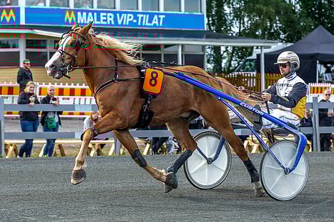 Stallone ravasi itsensä toistamiseen Ruunaruhtinaaksi.