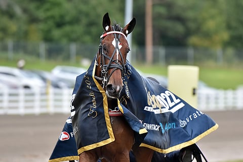 Halley Wania oli finaalin ennakkosuosikkeja.