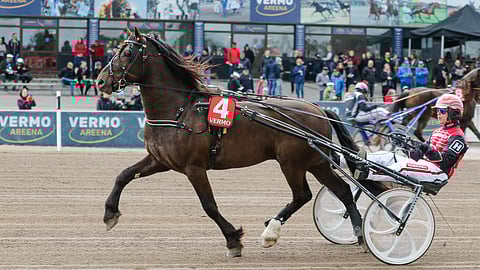 Mo Sjur vieraili Finlandia-päivänä Vermossa.