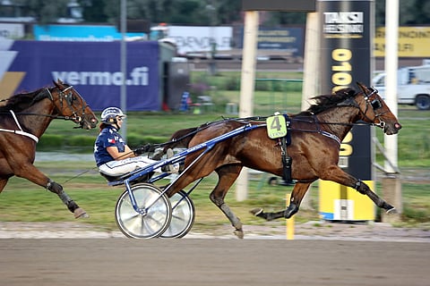 Emma Väre on tällä hetkellä raviurheilun kuuma puheenaihe. Cream Candy saattaa tuoda lisää mannaa tallille.
