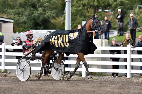 Father Christmas jatkoi nousukuntoisena Toto75-tasolla.