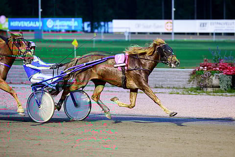 Esa Holopaisen ohjastama Kalla vastasi kiritaistossa takamatkalaisille.