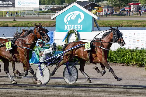 Chasing Highs on tasokkaan 15 hevosen autolähdön ennakkosuosikki. 