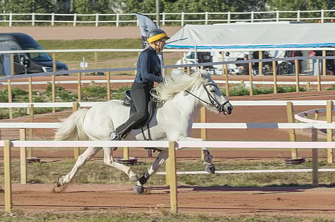 Gerda-Eerika Viinanen ja Svala passivauhdissa.