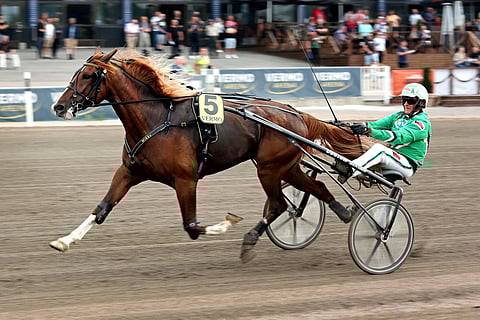 Too Fit For You starttaa finaaliin radalta yksi.