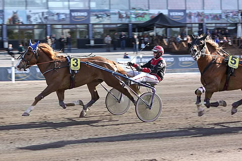 Kukkarosuon Kurkon vauhtivarat riittävät mailin matkallakin.