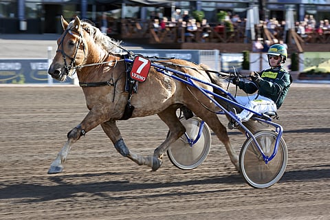 Siirin Santtu starttaa matkaan pelisuosikkina.