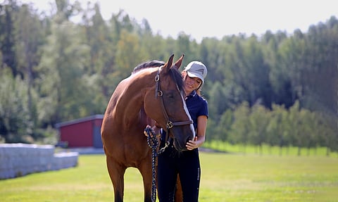 Sophia Jurmon Helianthus asuu Keisarinmäellä.