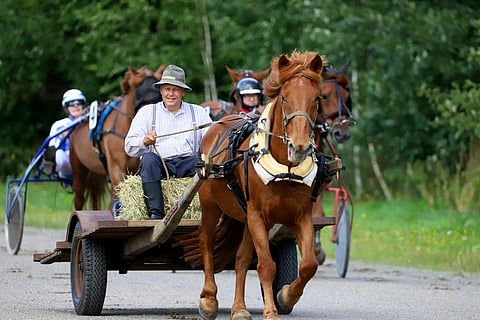 Hei hulinaa Parikkalassa!