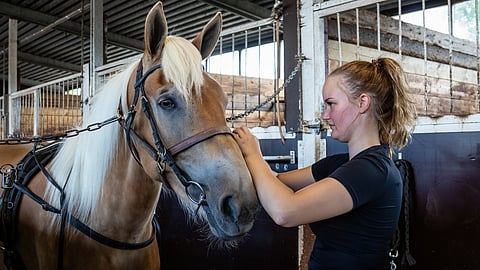 Hentun Liisaa hoitaa Oona Halme.