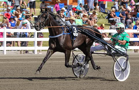 Ari Moilasen ja Blackbeardin kuudesta viime kisasta viisi on päättynyt kakkossijaan. Joko keskiviikkona on voiton vuoro?