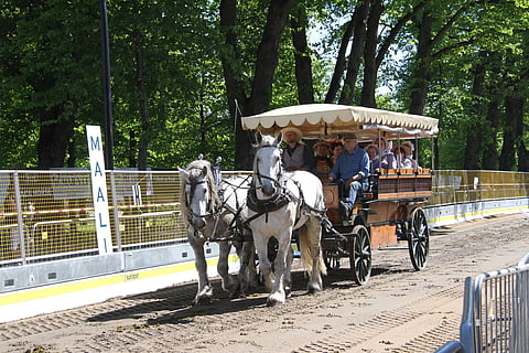 Valjakkohevosetkin näyttäytyivät Cityravien radalla tämän vuoden tapahtumassa.