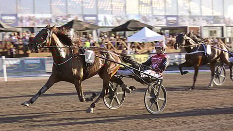 Planbee voitti Santtu Raitalan ajamana viime vuoden Derby-Kenraalin.