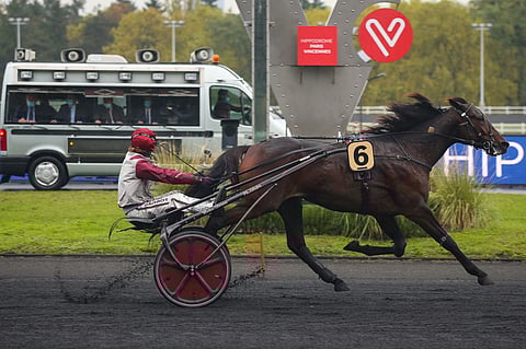 Hohneck osaa voittaa Vincennesissä.