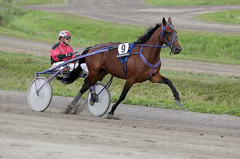 Raimo Niskanen, 60 vuotta.