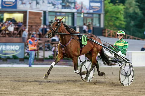 MAS For You nähtiin viime syksynä Derby-finaalissa.