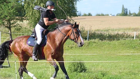 Timo Hörkkö ja Ksiezna vauhdissa.