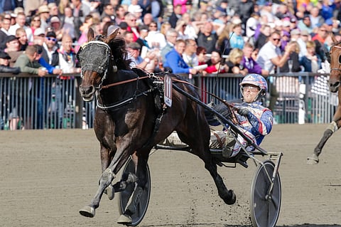 Isabel B.R. voitti reipas vuosi sitten Forssassa Tammavaltikan päätösmatkan vahvalla suorituksella.