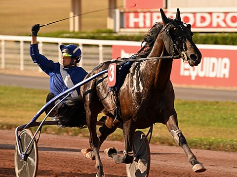 Delfino on ykkönen Enghienissä. 