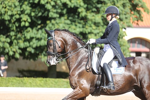 Anna Tallberg ja Grevens Zorro tekivät osuutensa joukkueohjelma GP:ssä. 