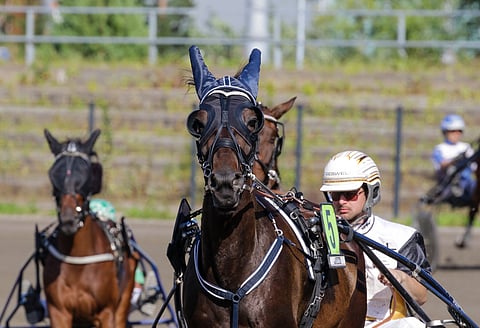 Niina Tapanin valmentama Picardie voisi olla mahdollinen menestyjä Toto5-pelin avauskohteessa.