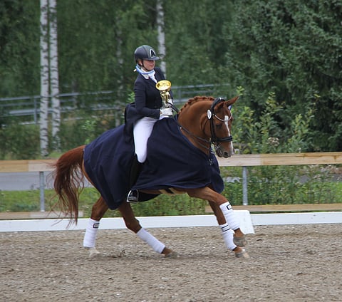 Wolle Wolkenstein - taas kunniakierroksella.