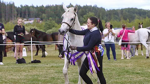 Paras veteraani Cluain Caireach oli täynnä virtaa vielä loppukehissäkin. Jenni Hauhia esitti 18-vuotiaan connemaratamman.